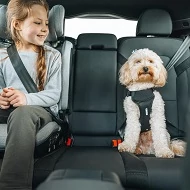 Thule Kutyaszállítás